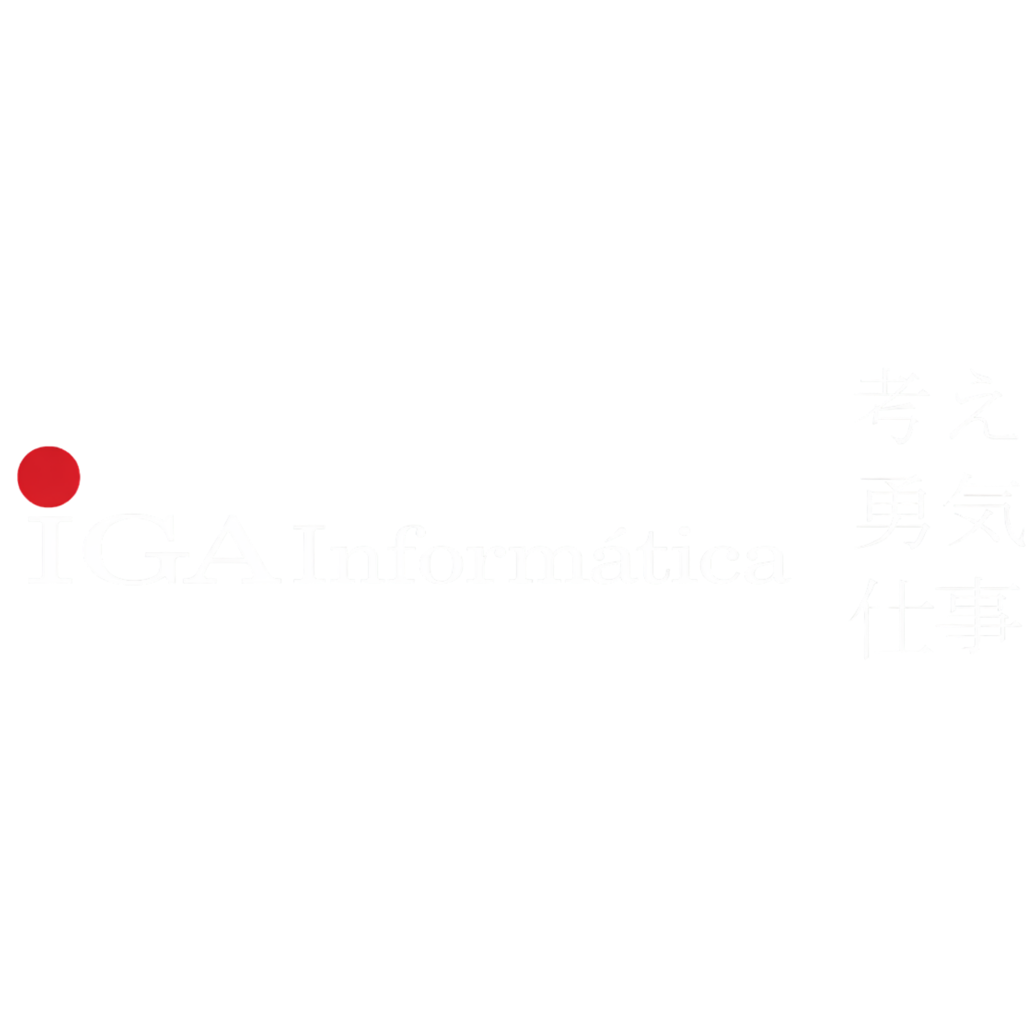 IGA Informática